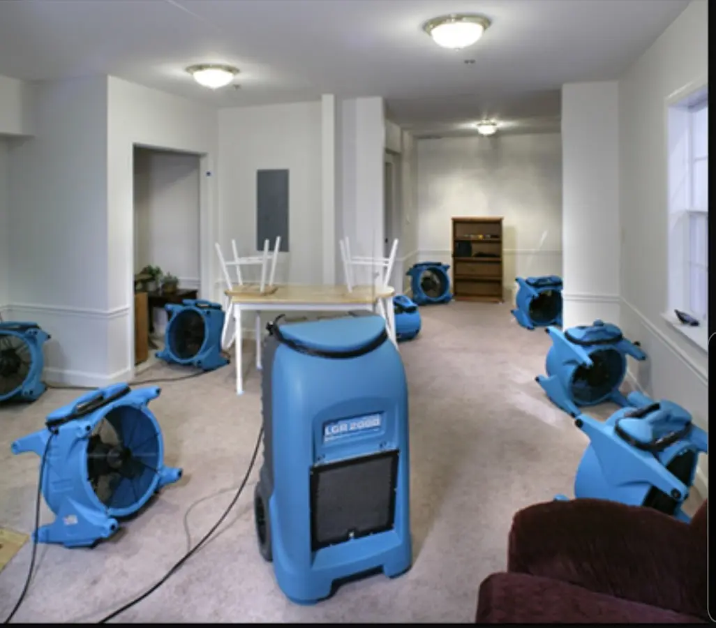 Air movers and dehumidifier setup for Water Extraction & Removal in Kerman